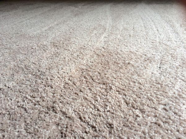 Plush Carpet Installation in Worcester