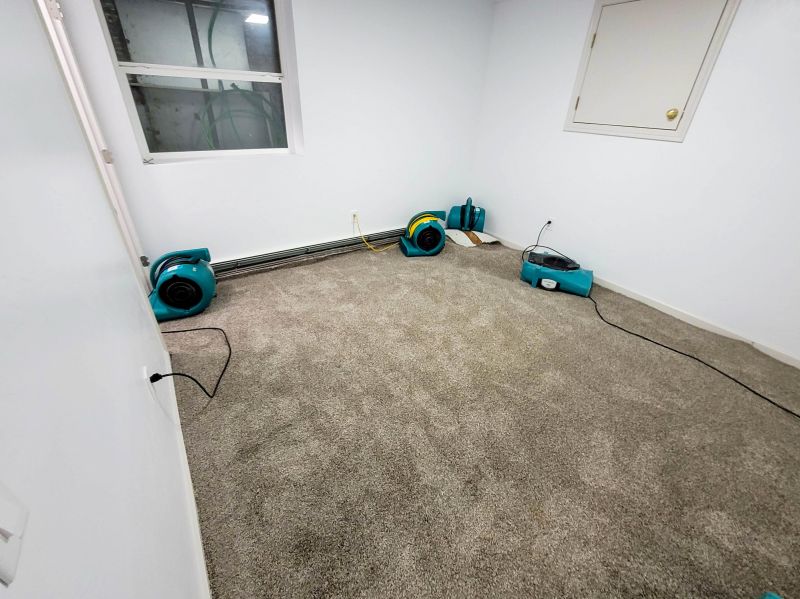 Specialized Carpet Restoration Experts